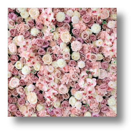 BackgroundFloral